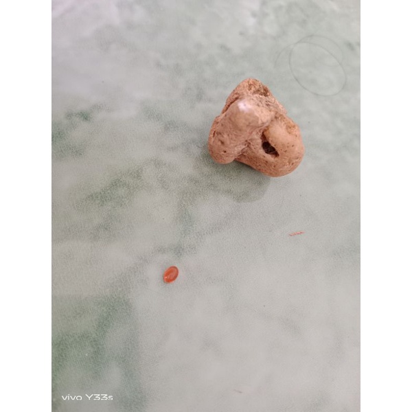 mustika lipan nitis dalam batu