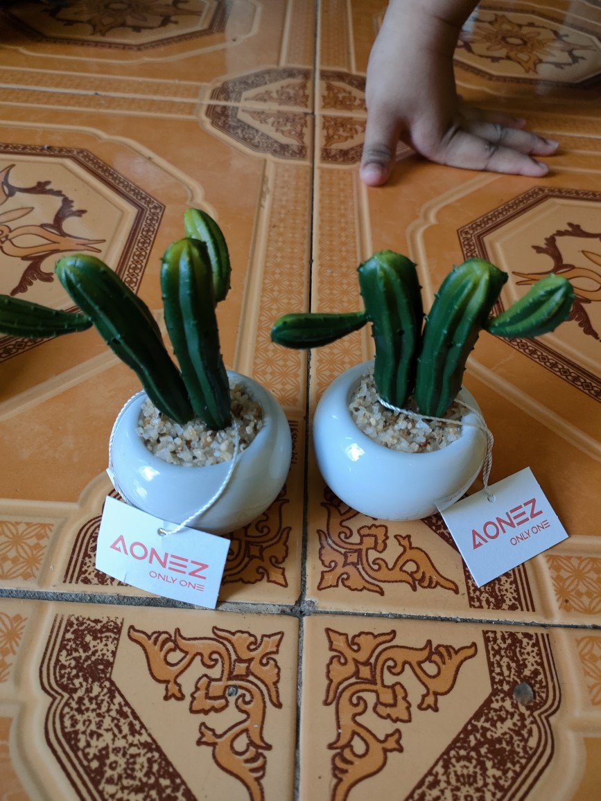 Homes Mystery Box (1 Jenis Produk)