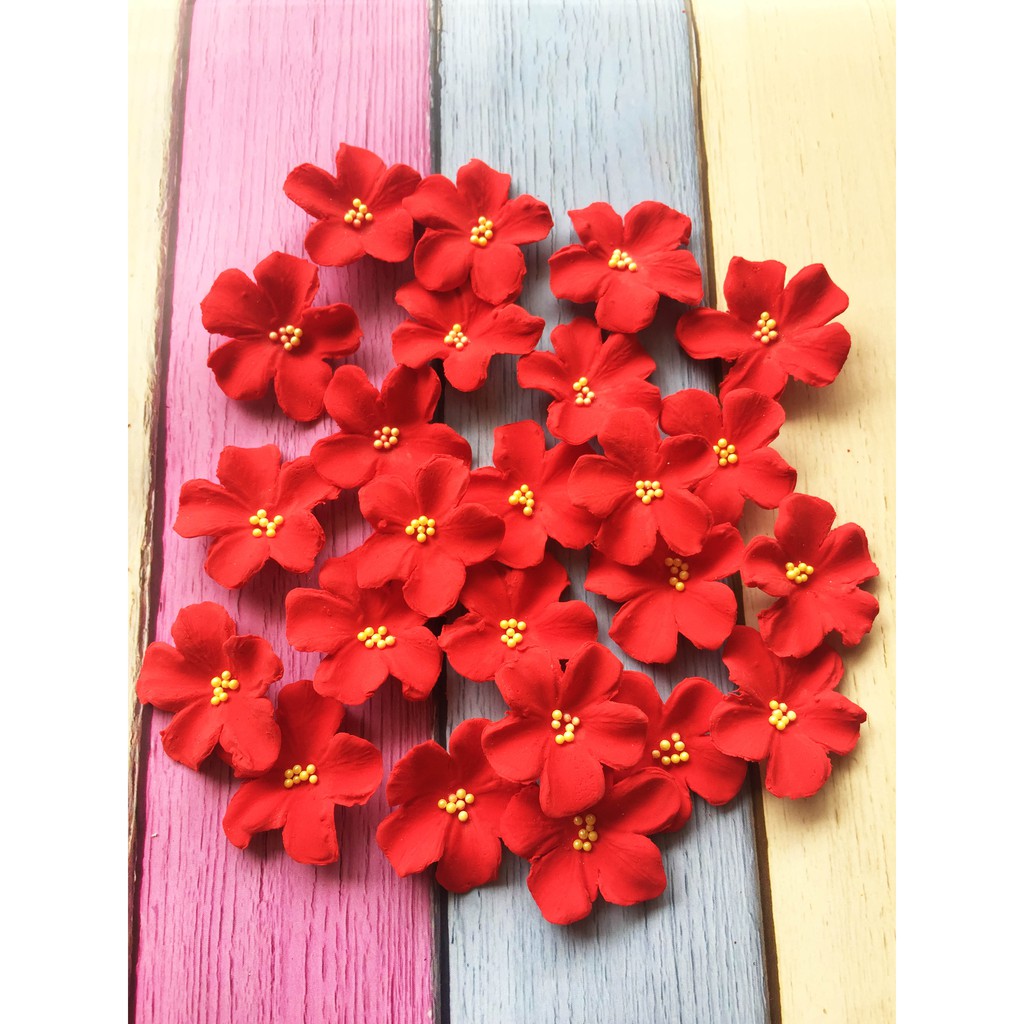 

Gumpaste hiasan kue tarta halal- bunga imlek FCNY