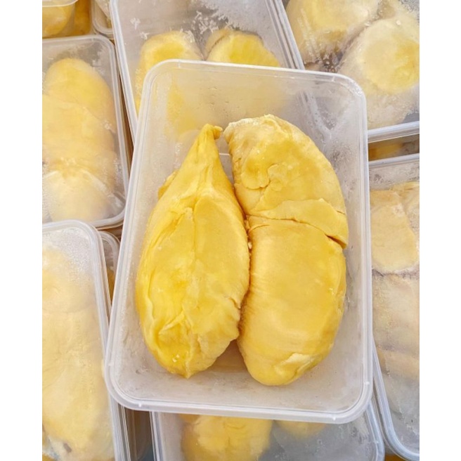 Durian Montong ASLI Palu Parigi