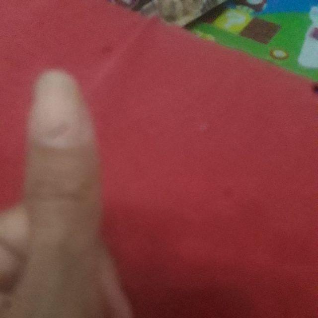 Alfaindo Lunch Box Kotak Makan Anak Bpa Free Yooyee Yy589 Sekat 6 Bubblewarp