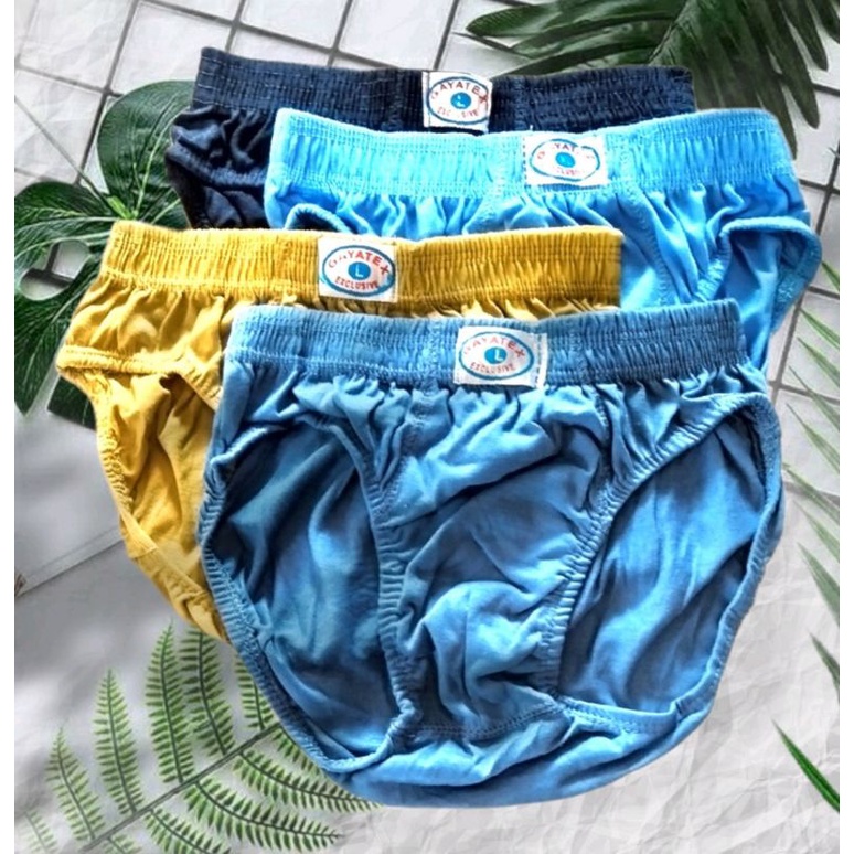 celana dalam pria/celana dalam segitiga pria/underware/pakaian dalam pria/pakaian dalam merek gayate