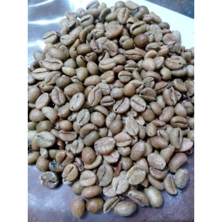 

ekselsa kopi