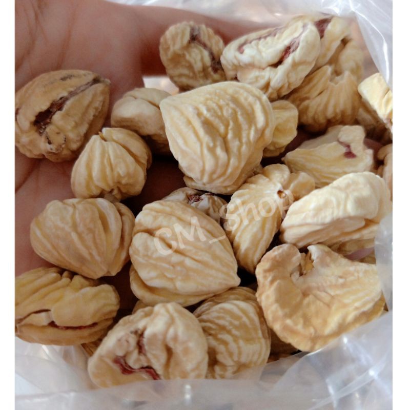 

Lakci Lak Ci Kacang Lakci Chestnuts Kering 100g