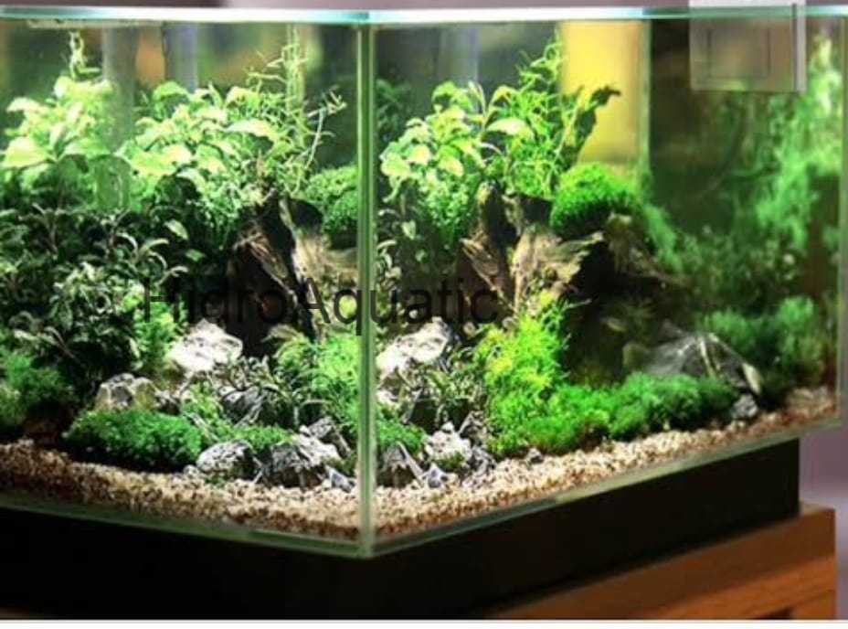 Lampu aquarium 50cm PUTIH / Lampu led / Lampu celup