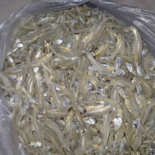 

Ikan teri buntiau 100gr