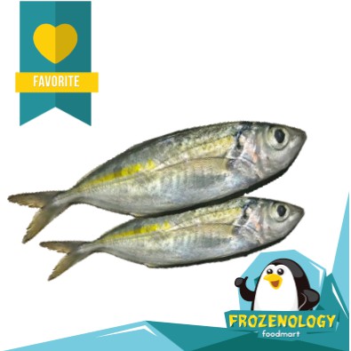 

Ikan Kembung Banjar Utuh Frozen Fresh Quality Seafood