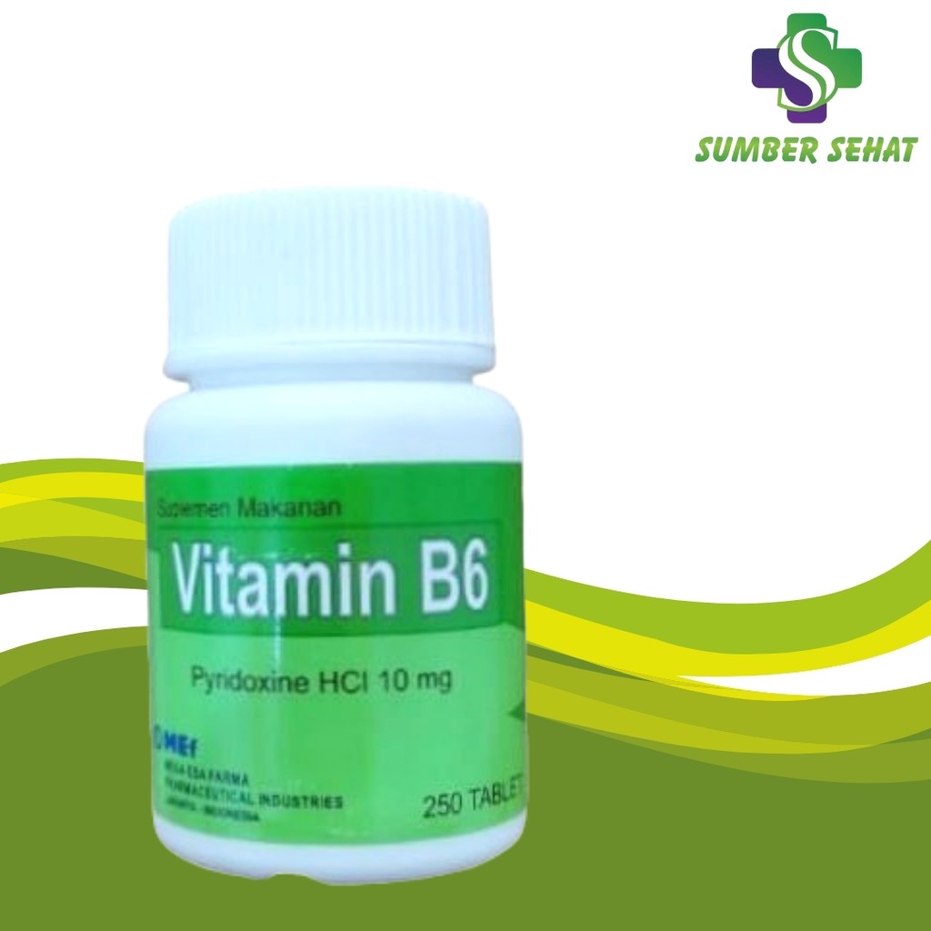 VITAMIN B6 BOTOL ISI 250 TABLET MEGA ESA FARMA