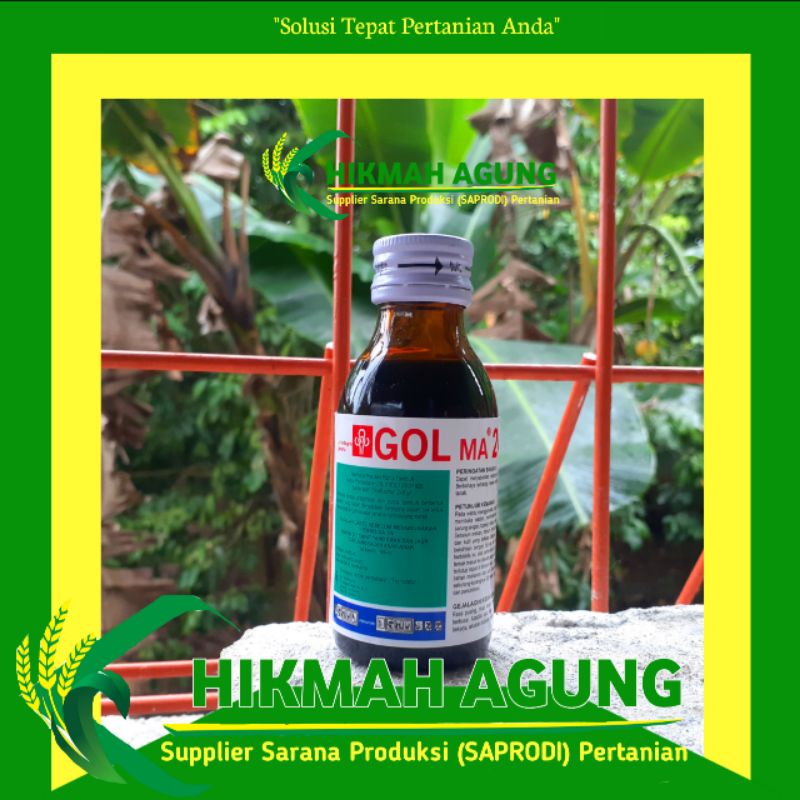 

GOLMA 240 EC 100 ML - HERBISIDA PRA TUMBUH