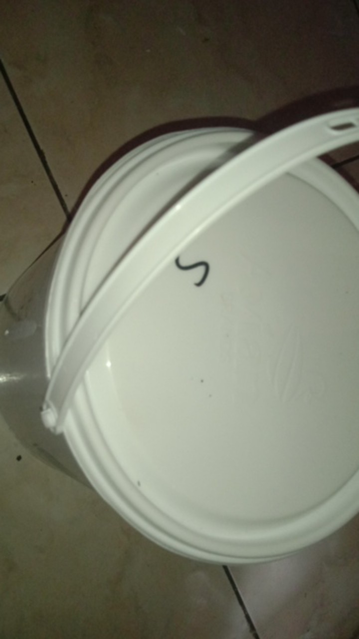 Cat Tembok Dinding 5kg 5 Kg Avitex By Avian Brands