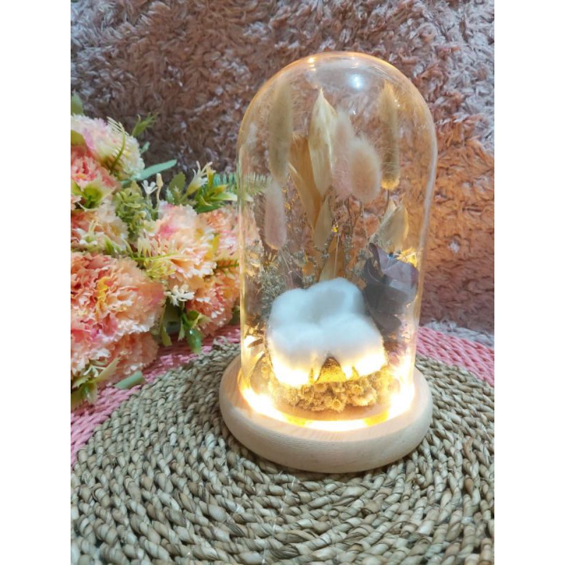 Medium Glass dome /kubah kaca /Dried Flower/ kaca hias