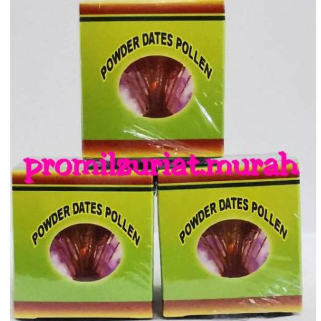 serbuk kurma muda dates pollen saudi