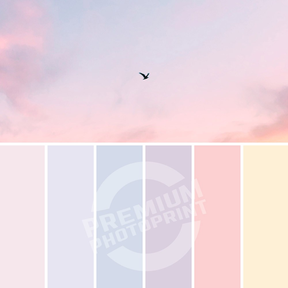 Background Alas Foto Warna Pastel I Ukuran 50x100 High Resolution Printing Flash Tidak Mantul Shopee Indonesia
