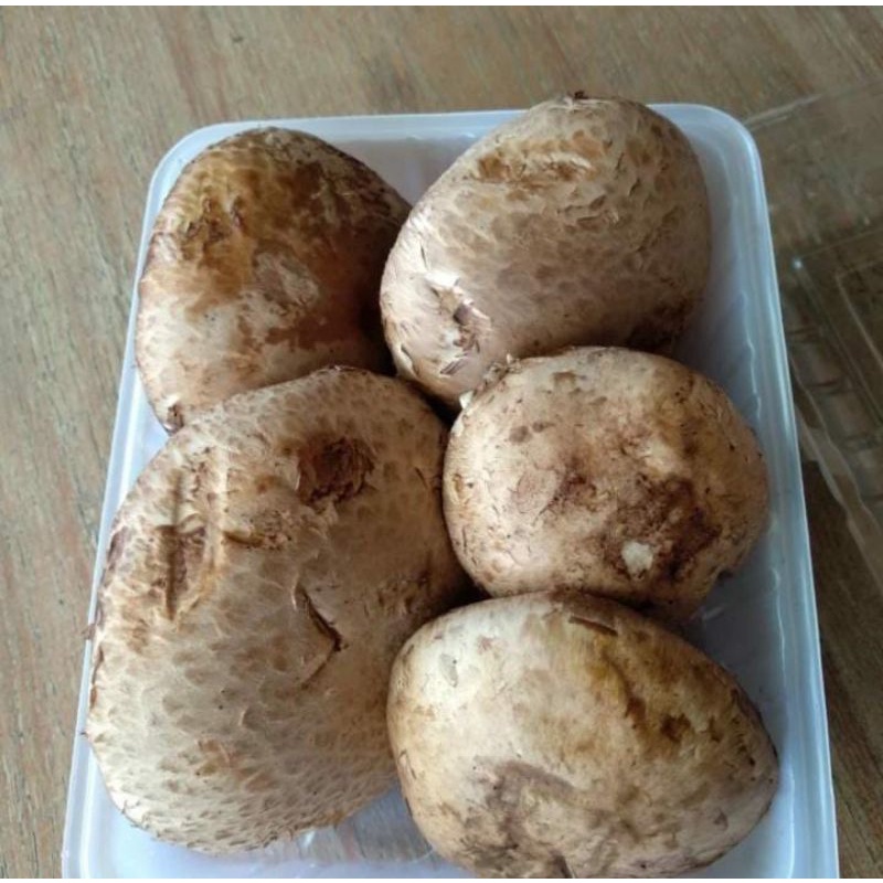 

Jamur Portabelo 250gr