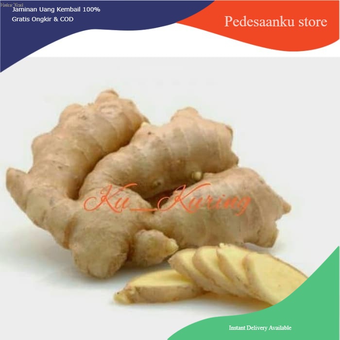 

Temu Putih Segar Kunyit Kunir 500g Curcuma Zedoaira