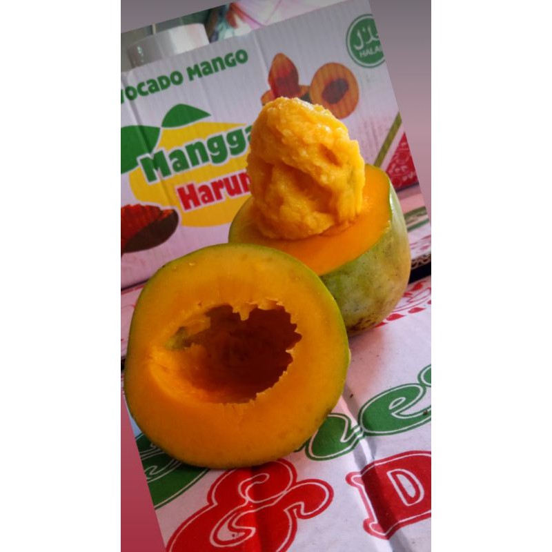 

Mangga Alpukat