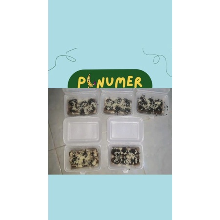 

pinumer (pisang nagget lumer)