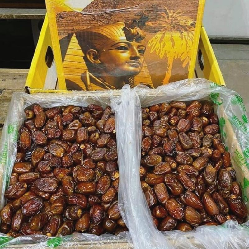 

kurma golden valley