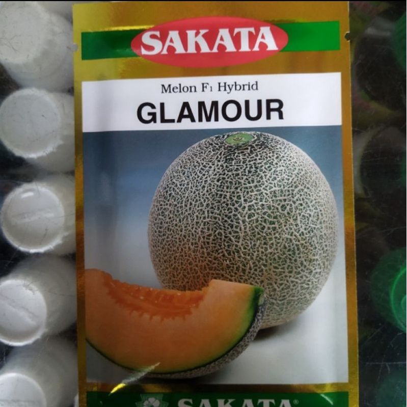 Benih Melon Kuning Glamour SAKATA 100biji