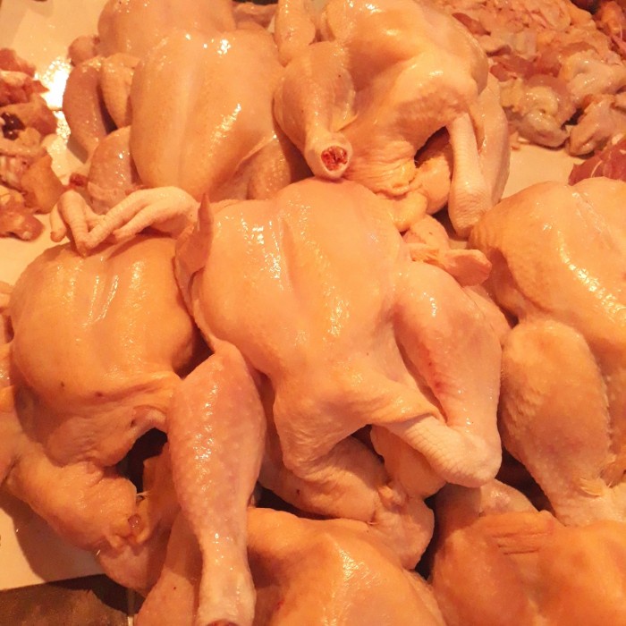 

Ayam Utuh Besar Segar 1,3Kg - 1,6Kg Fresh daging