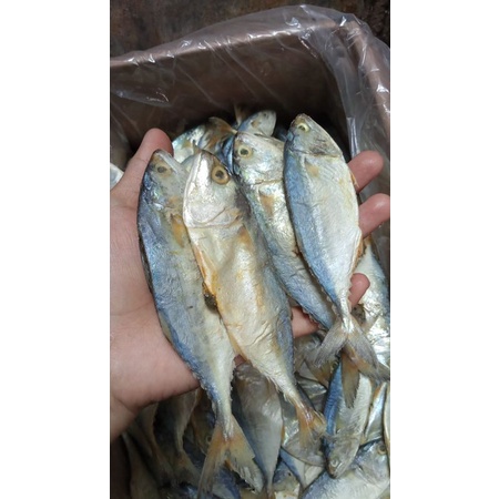 

PEDA PUTIH KEMBUNG fresh= 100g ram