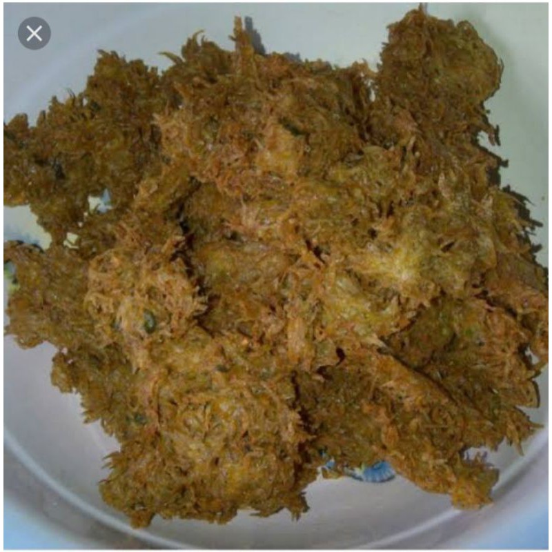 

PERGEDEL RINUAK 500g