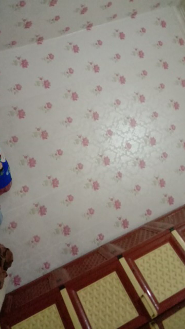 Cetakan Plastik Untuk Membuat Pangsit / Ravioli Jiaozi