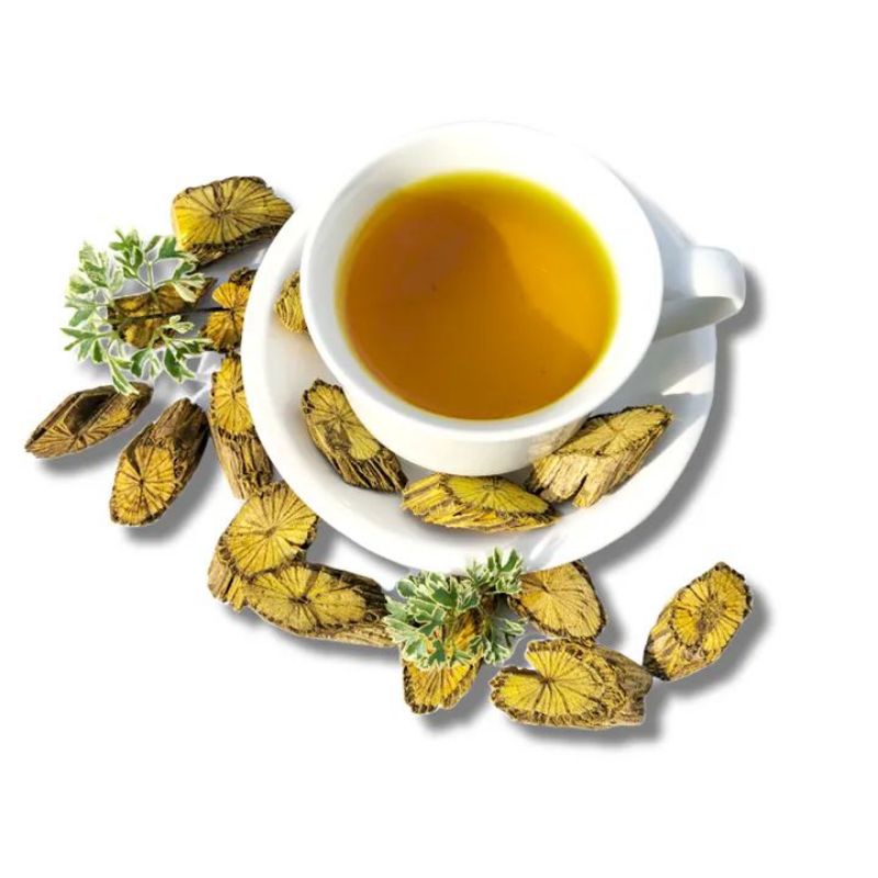 akar kayu bajakah kuning asli Kalimantan super murah