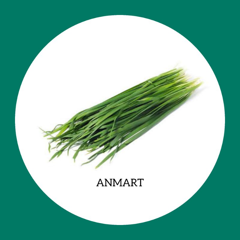 

ANMART | 1 Ikat Daun Kucai | Sayur Segar Online