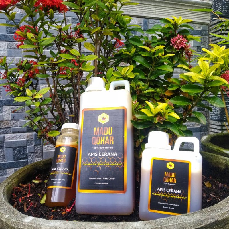 

Madu hutan liar 1kg || Madu Qohar 1kg