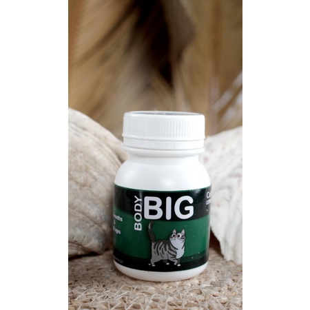 BODY BIG CAT / PENGGEMUK KUCING / VITAMIN BULU KUCING / CAT FATER POWDER / vitamin kucing  / BIG BODY / vitamin bulu kucing