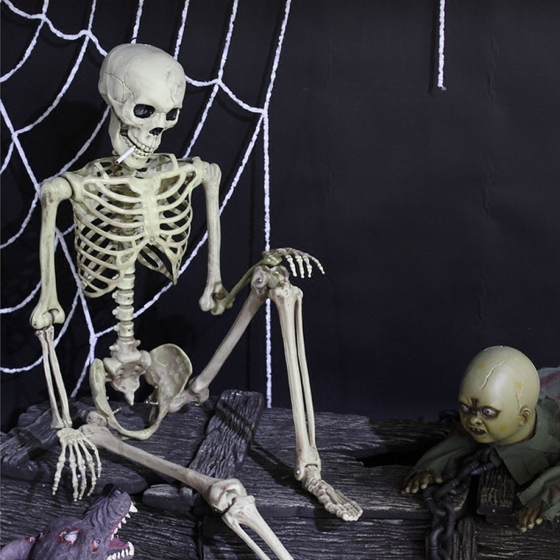 Alat Peraga Anatomi Kerangka Manusia Bahan Plastik Ukuran 40cm Untuk Dekorasi Halloween