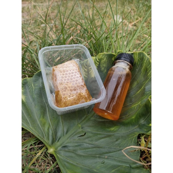 

Korzaln Madusarang 100 Gr Dan Madu Cair 150 Gr Paket Tester