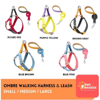 Harness Anjing Dengan Tali Tuntun Warna Warni Ombre