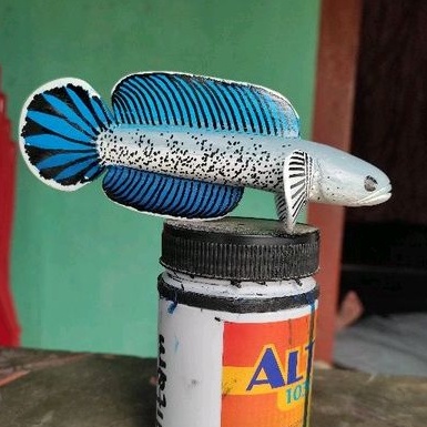 Patung Chana Stewarti uk 15cm