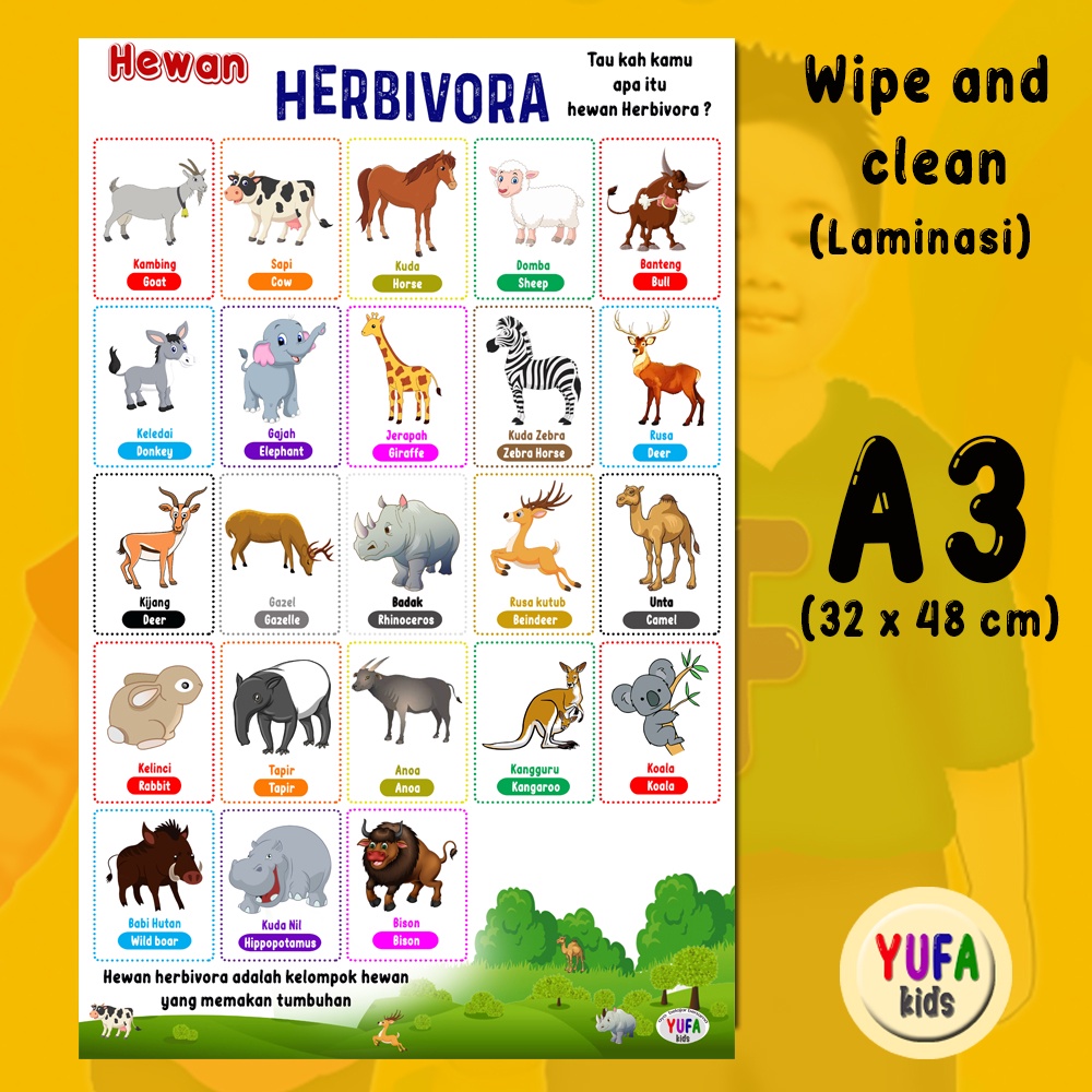107 Poster hewan herbivora - Poster Edukasi Anak - Poster belajar anak - Poster wipe and clean - per