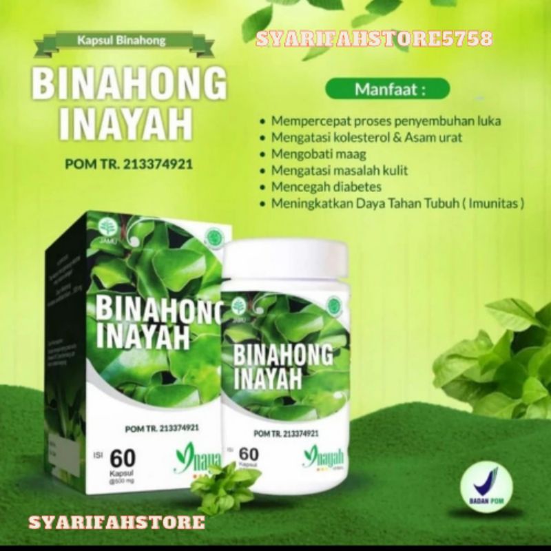 Kapsul Extra Daun Binahong Inayah | Kapsul Binahong | Kapsul Daun Binahong Inayah | Herbal Sehat Tul