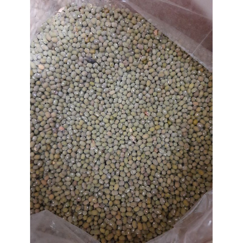 kacang hijau 500 gram