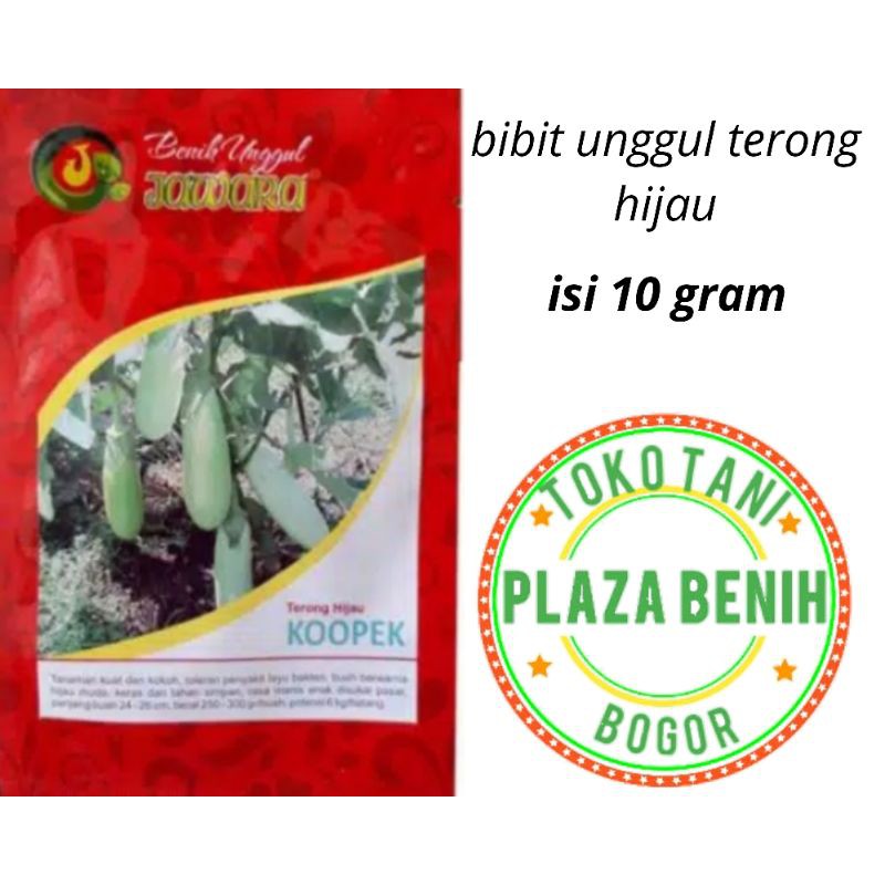 Bibit Benih Terong Hijau Kopek (isi sekitar 1250 biji)