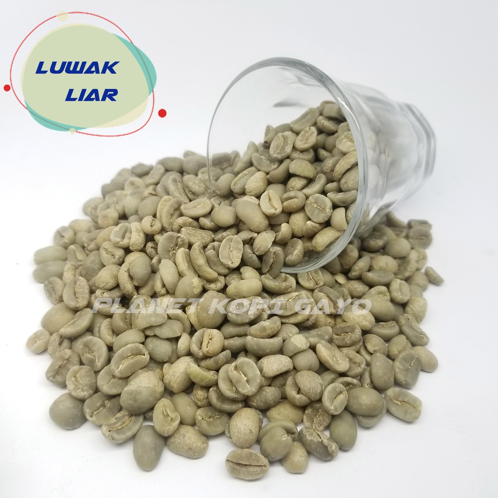 

KOPI GAYO ACEH ARABIKA LUWAK LIAR 1 Kg