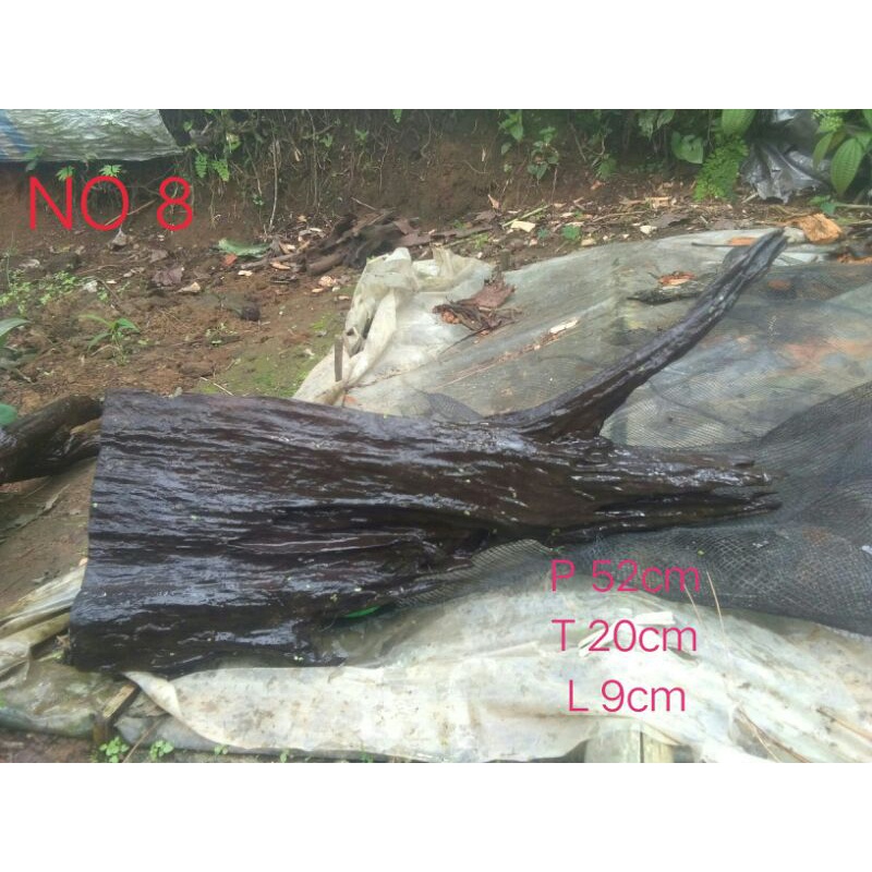 kayu rentek size XL. sudah full tenggelam