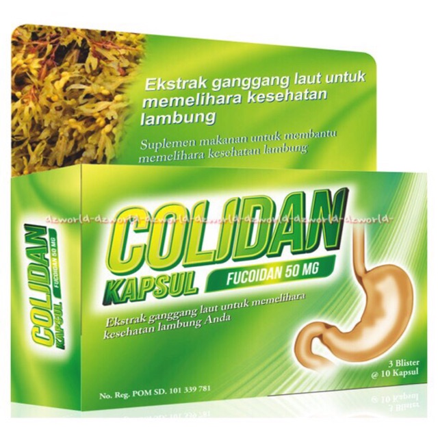 Colidan Hijau Fucoidan 50mg Obat Mag Lambung Green Isi 30Kapsul