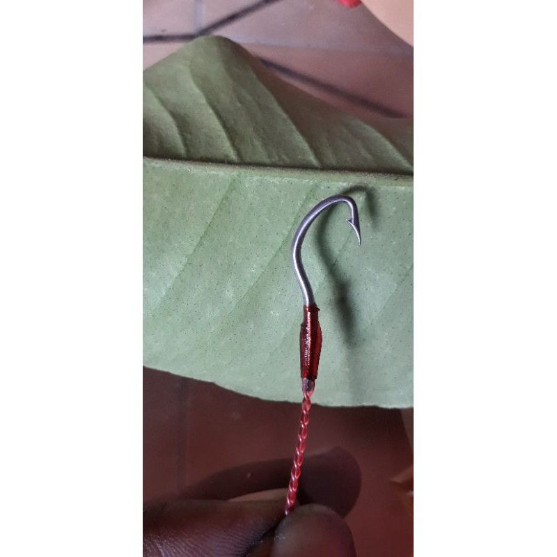 kail pancing welut model rampid