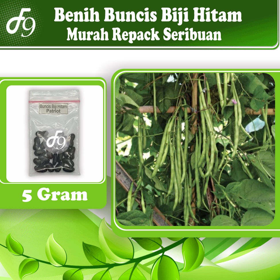 Benih Buncis Biji Hitam Murah Repack Seribuan