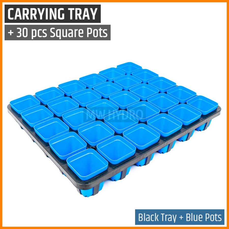 Carrying Tray include 30 pcs of 7 cm Square Pot - Tray + 30 Pot Kotak