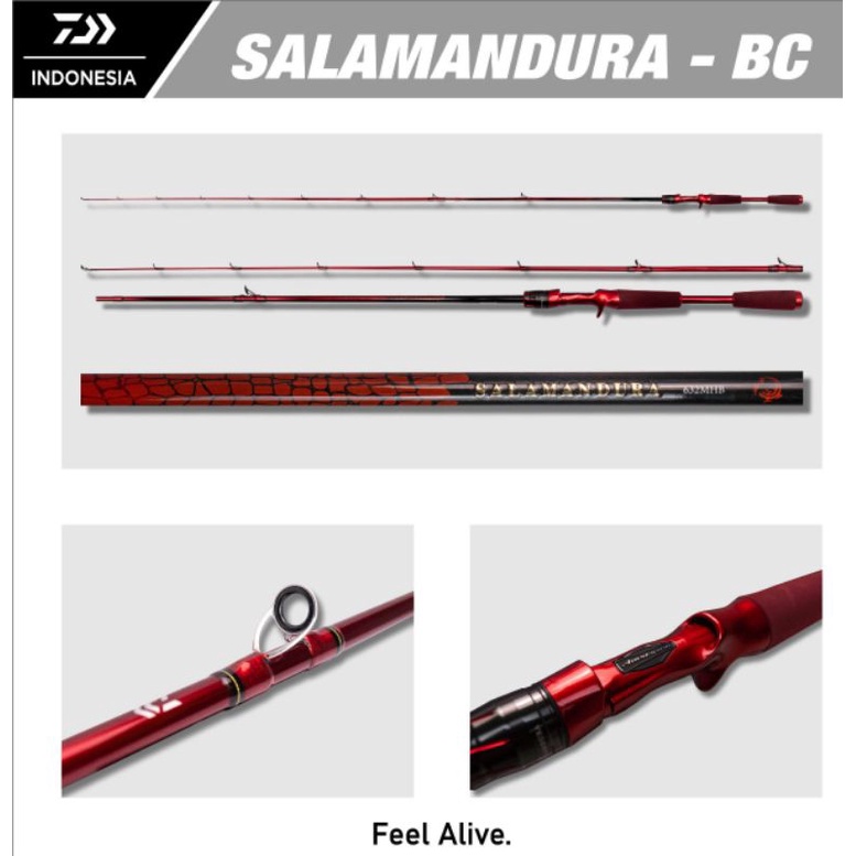 rod joran spining dan BC daiwa salamandura