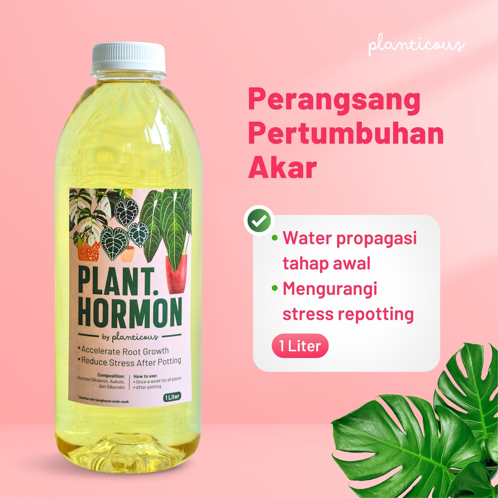 Plant Hormon / Hormon Tanaman