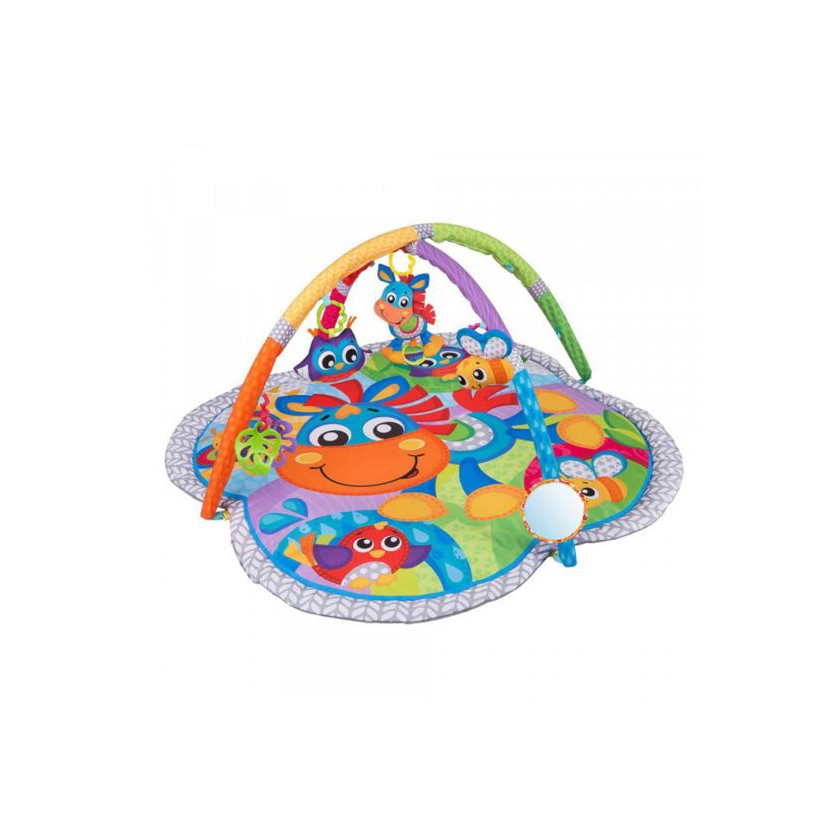 clip clop activity gym