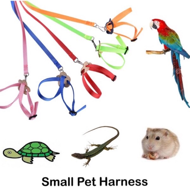 HARNESS BURUNG HARNESS KURA-KURA HARNESS GECKO HARNESS HAMSTER HARNES HEWAN TALI TUNTUN HEWAN MURAH