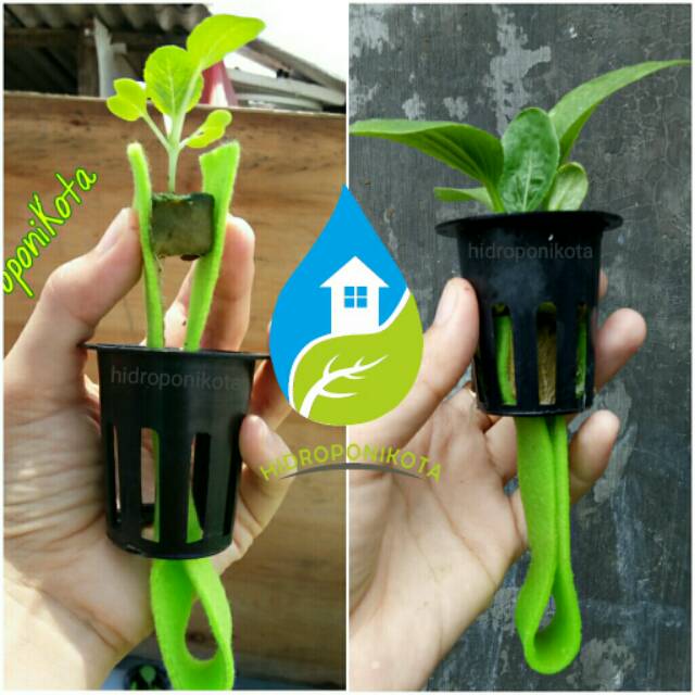 netpot 5 cm hitam lubang 1 - netpot hidroponik